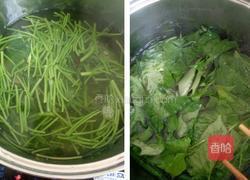 凉拌红薯叶的做法图解3