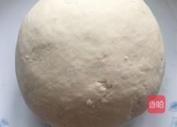 白菜饺子的做法图解6