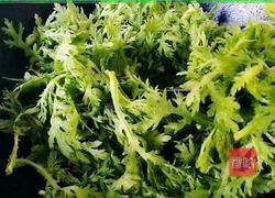 蒜蓉茼蒿的做法图解5