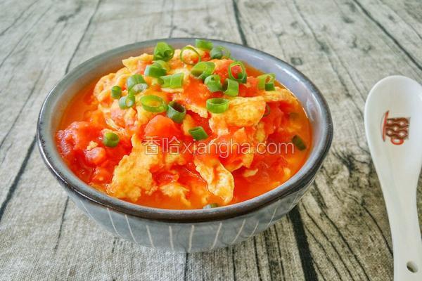 西红柿炒鸡蛋成品图