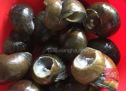 酿田螺的做法图解4