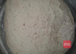 小熊花馍的做法图解2