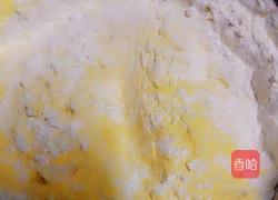 香煎玉米饼的做法图解1