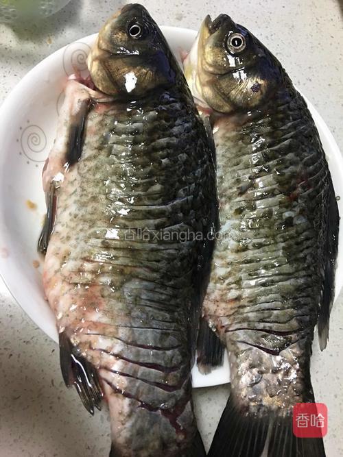 洗净的鱼双面打花刀，一定要这种密密的花刀，不然浇汁后不会入味