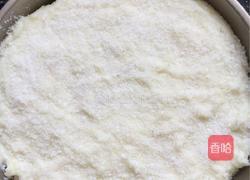 椰蓉小方的做法图解11