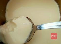 芒果酸奶的做法图解9