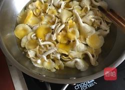 黄蘑芹菜猪肉饺子的做法图解2