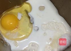 椰蓉面包的做法图解3