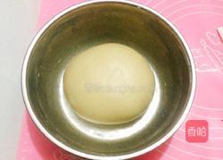 蜜豆餐包的做法图解3