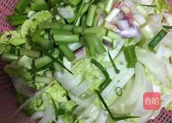 白菜猪肉馅饺子的做法图解3