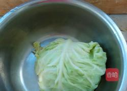 凉拌洋白菜的做法图解1