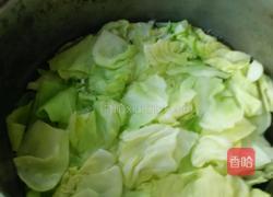 凉拌洋白菜的做法图解7