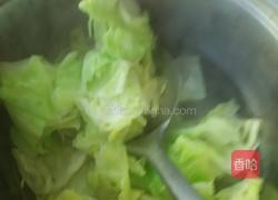 凉拌洋白菜的做法图解8