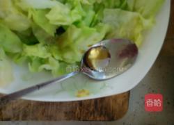凉拌洋白菜的做法图解13