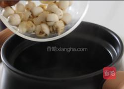 冰糖银耳莲子羹的做法图解9