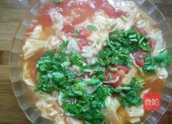 西红柿炖豆皮的做法图解6