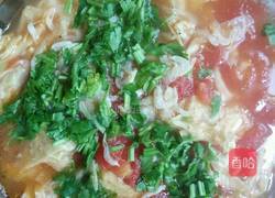 西红柿炖豆皮的做法图解7