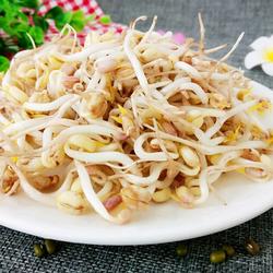 饮料瓶生绿豆芽的做法[图]