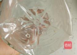 饮料瓶生绿豆芽的做法图解4