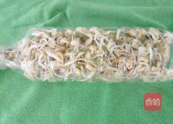 饮料瓶生绿豆芽的做法图解8