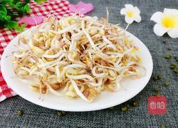 饮料瓶生绿豆芽的做法图解10