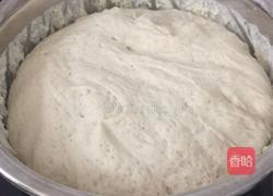 猪肉大葱包子的做法图解3