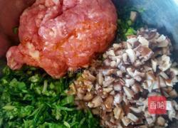 油菜香菇肉包子的做法图解4