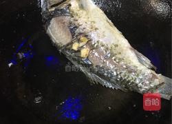 鲫鱼枸杞叶豆腐汤的做法图解4