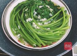 耗油茼蒿（蒿子秆）的做法图解5