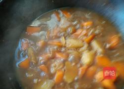红烧土豆胡罗卜的做法图解14