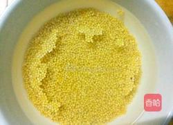 燕麦小米粥的做法图解2