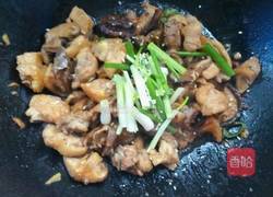 香菇闷鸡肉的做法图解6