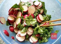 凉拌樱桃萝卜的做法图解3