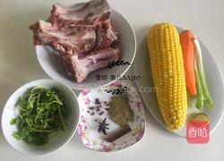 胡萝卜玉米排骨汤的做法图解1