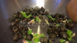 紫苏炒田螺的做法图解10