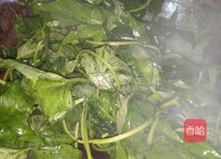 蒜炒红薯叶的做法图解2