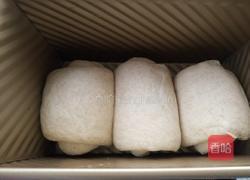 黑麦蜂蜜吐司的做法图解16