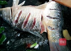 土豆炖鱼的做法图解6