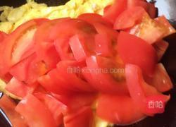 西红柿炒鸡蛋的做法图解5