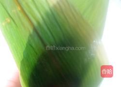 棕子五香肉味棕的做法图解4