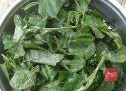 想吃凉拌野菜的做法图解1
