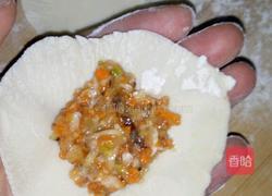 胡萝卜香菇娃娃菜猪肉馅水饺的做法图解11