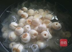 丑耳莲子百合羹的做法图解9