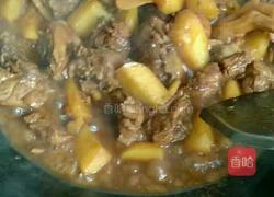 土豆焖鸭的做法图解6