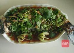 清蒸潜鱼的做法图解3