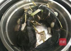 清蒸潜鱼的做法图解1