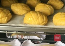 菠萝包的做法图解19