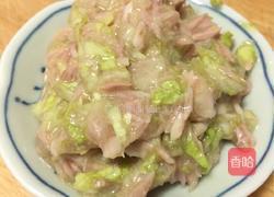 猫饭－盛夏沙拉（适用于猫咪）的做法图解3