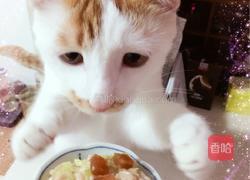 猫饭－盛夏沙拉（适用于猫咪）的做法图解4