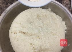 酒酿的做法图解5